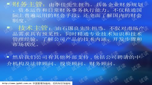 武漢市XX科技開(kāi)發(fā)有限責(zé)任公司商業(yè)計(jì)劃書(shū)